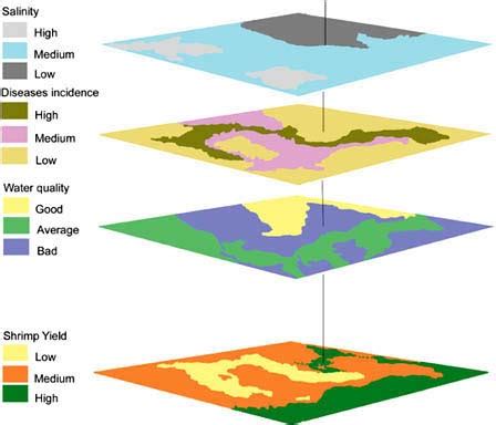 12 Raster Vs Vector GIS Layer Images - Vector and Raster Data GIS, GIS Data Layers and Vector ...