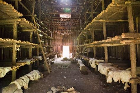 Interior of traditional Iroquois longhouse | Native American ...