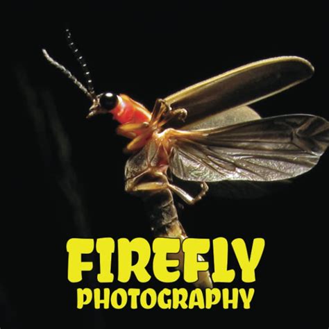 Buy Photography Of Firefly: 2023-2024 Consists Of Compelling & Impressive Firefly Movie Pictures ...