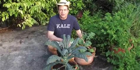 10 Tips for Growing Kale - Plant Instructions