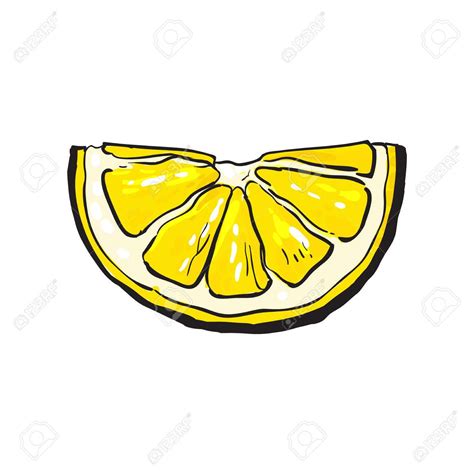 Lemon Drawing at GetDrawings | Free download