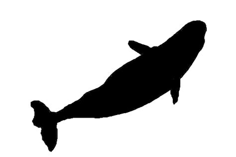 Whale Silhouette | Free Download Clip Art | Free Clip Art | on ... - ClipArt Best - ClipArt Best