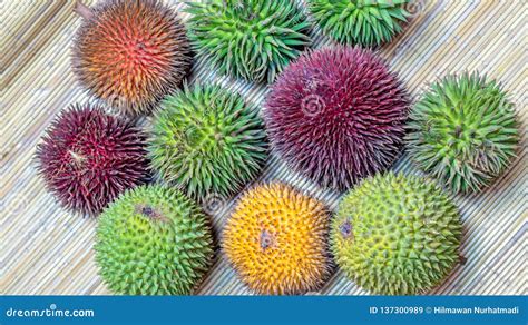 Different Variety Of Durian Fruit That Can Be Found In Borneo, Indonesia Stock Image - Image of ...