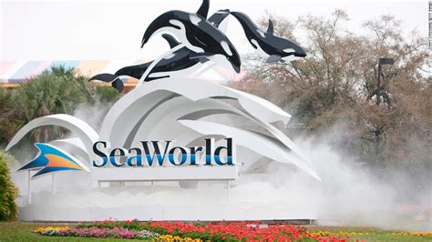 Is the worst over for SeaWorld? - CNN Video