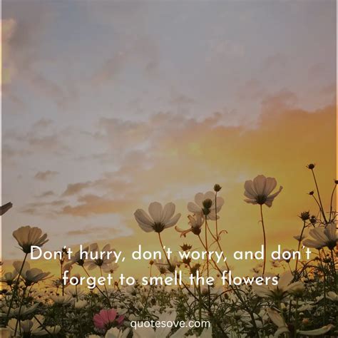 101+ Best Instagram Flower Quotes, And Messages » QuoteSove