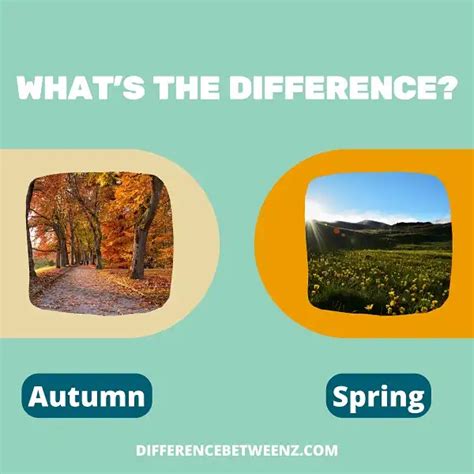 Difference between Autumn and Spring - Difference Betweenz