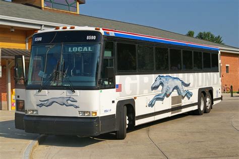 Local bus service set to cover Greyhound routes • Navigator