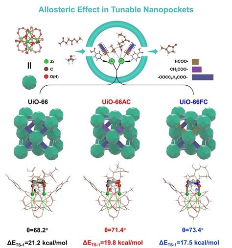 Metal-organic frameworks behave like enzymes in catalysis