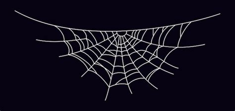 Premium Vector | Scary spider web. White cobweb silhouette isolated on black background. Hand ...