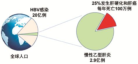 扩大慢性乙型肝炎治疗