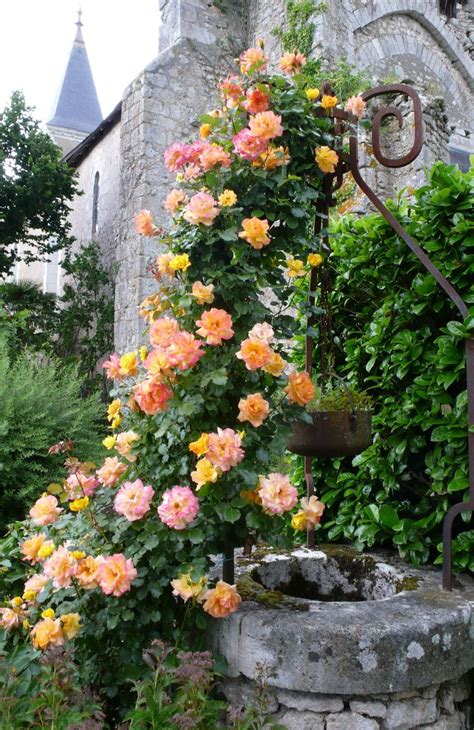 What a way to Garden?: french gardening | French country gardens