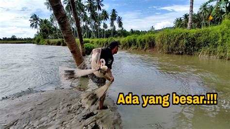 JALA IKAN DI SUNGAI, HASILNYA SANGAT BAGUS,!!! best fishing nets - YouTube