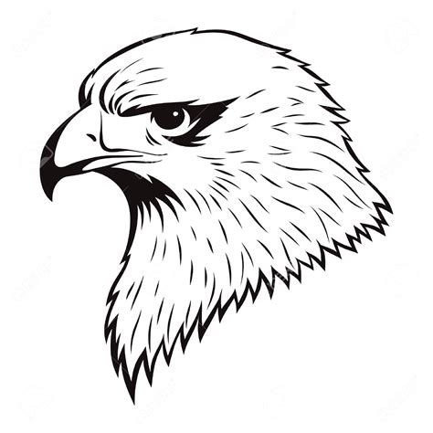 Eagle Drawing Images at GetDrawings | Free download