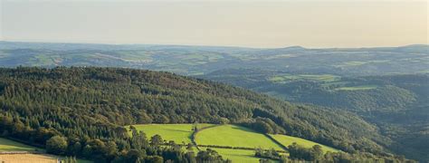 The best Hikes and Walks in Dartmoor | Outdooractive