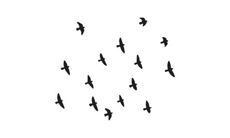 Flying Birds Silhouette 14894239 Vector Art at Vecteezy