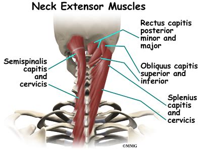 Conditions and Treatments