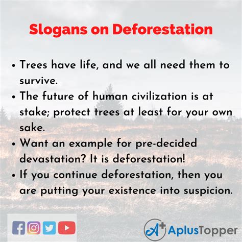 Slogans on Deforestation | Unique and Catchy Slogans on Deforestation ...