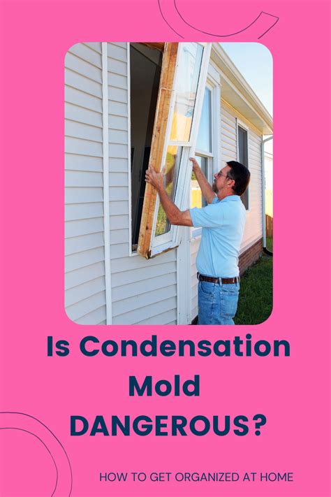 Can You Get Mold From Condensation On Windows?