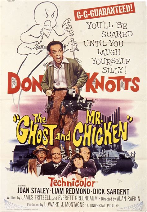 Don Knotts film The Ghost and Mr Chicken 35m-7711 | Don knotts, Mr., Movie posters vintage