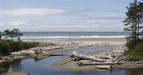 Visit Kalaloch Beaches | Things To Do | The Olympic Peninsula