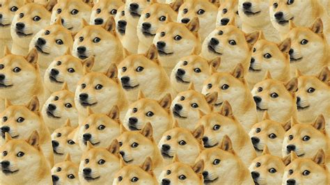 🔥 [49+] Doge Wallpapers | WallpaperSafari