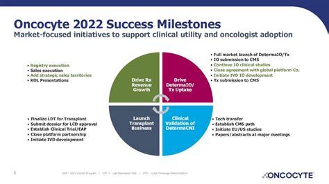 OncoCyte Stock: Investors Should Probably Remain On Sidelines | Seeking ...