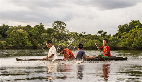 Toxic mercury poisoning the Amazon | WWF