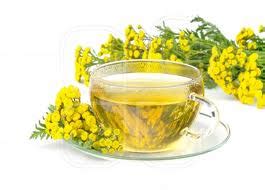 Herbs-Treat and Taste: TANSY: HEALTH BENEFITS AND USES OF TANSY AND ...