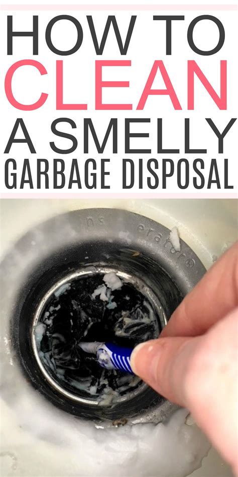 How To Clean A Smelly Garbage Disposal | Cleaning hacks, Smelly ...