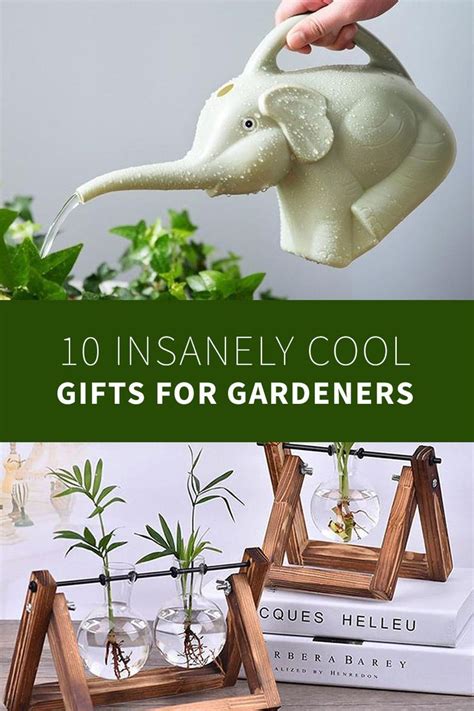 an elephant planter with plants in it and text overlay that reads 10 insanely cool gifts for ...