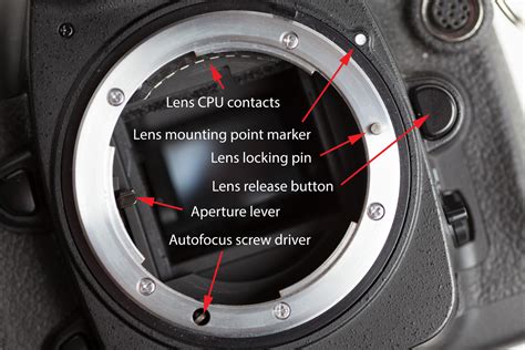 Lens mounts and interchangeable lenses | Discover Digital Photography