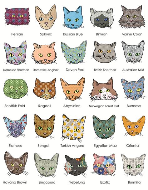 RESERVED FOR LINDSAY Cat Breeds Poster Contempo Kitty