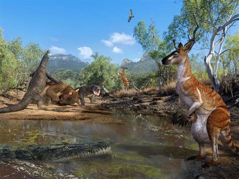 Humans coexisted with three-tonne marsupials and lizards as long as ...