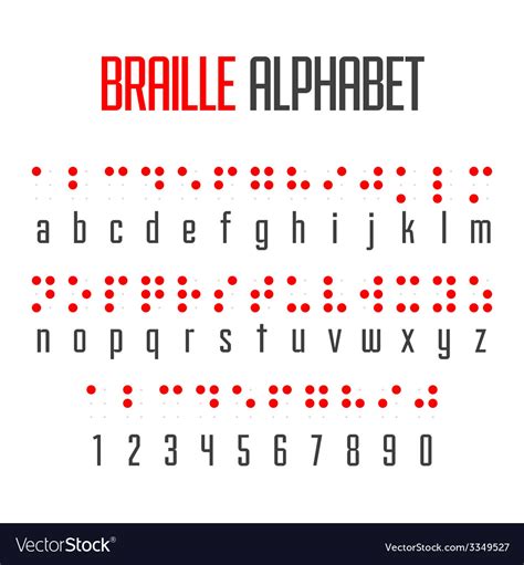 Braille alphabet and numbers Royalty Free Vector Image - VectorStock