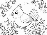 Bird On Branch Coloring Page NatureThemed Line Art For Kids  Premium sketch template