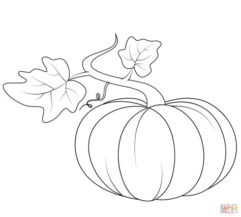 Pumpkin Outline - Coloring Home