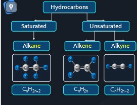 What are Hydrocarbons? Compare saturated and unsaturated hydrocarbons?