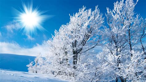 winter desktop | Fond ecran nature, Image hiver, Photo hiver