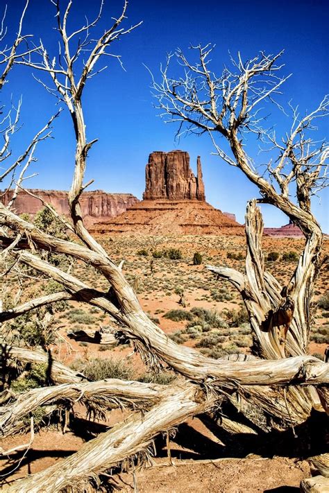 Mitten Buttes, USA