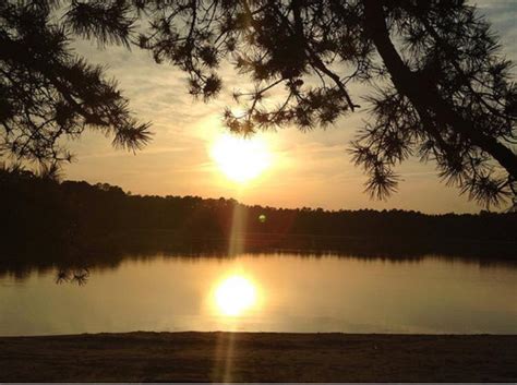 pine barrens | South Jersey Trails