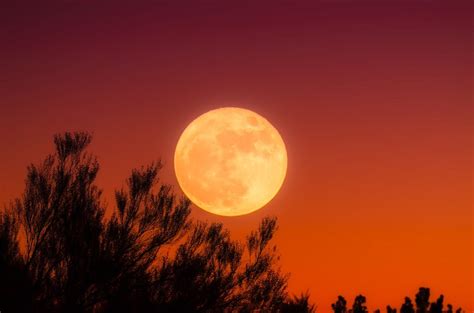 Harvest Moon | September 2021 Sky Happenings | BEYONDbones