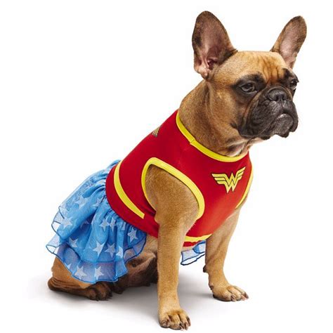 Avengers Assemble! We've Got All the Superhero Costumes Your Dog Needs!: Grab your capes ...