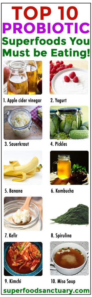 Top 10 Probiotic Superfoods for Good Health - Superfood Sanctuary