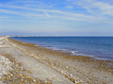 Morning Dew: Duxbury Beach and Marshfield Beach