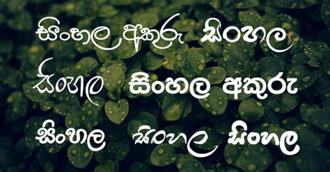 Beautiful Sinhala fonts download for free | Aluth