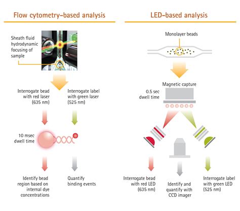 Luminex xMAP® Technology | Life Science Research | Merck