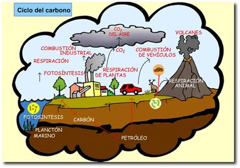 Ciclo del Carbono ~ Energía y consumo de substancias fundamentales 16I