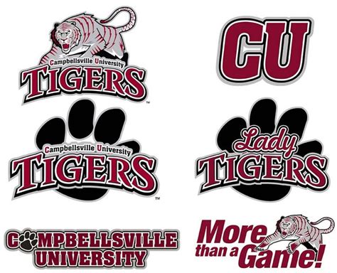 Image result for campbellsville tigers | Campbellsville university, Tiger, University