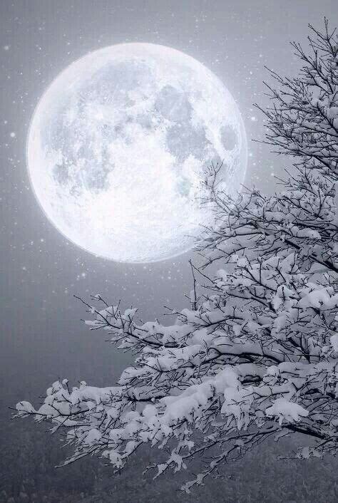 Winter | Moon, Winter moon, Frost moon