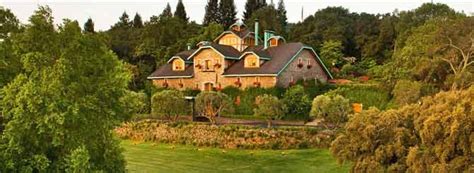 Far Niente Family Feud Ends with Winery Sale | Wine-Searcher News ...